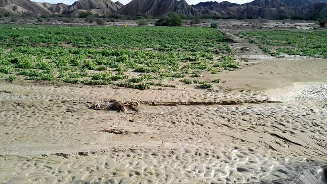 خسارت سیل در سیستان و بلوچستان