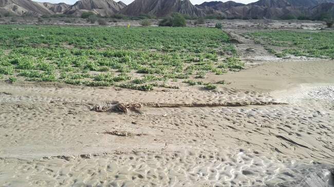 خسارت سیل در سیستان و بلوچستان