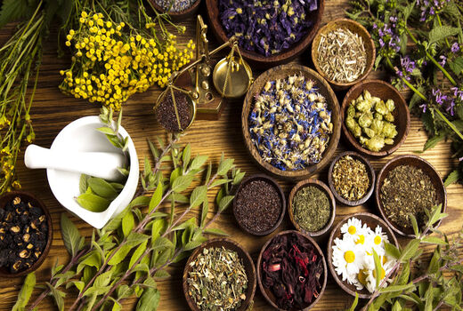 قانون بالای سر گیاهان دارویی