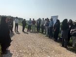 سه مزرعه نوآور بهره‌ور در استان بوشهر رونمایی شد
