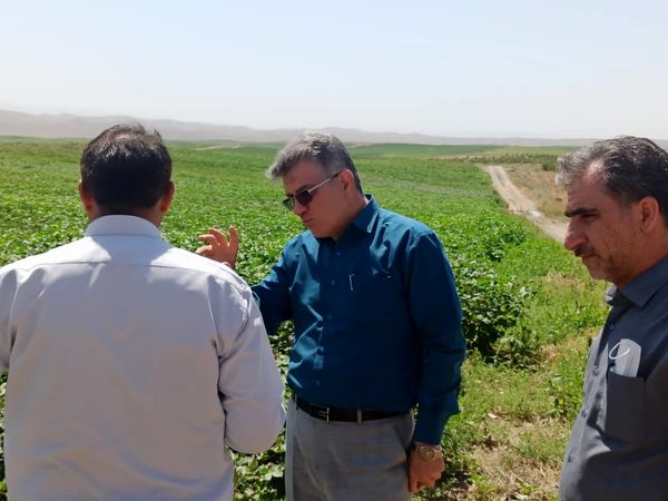 بازدید مجری طرح شبکه های فرعی آبیاری زهکشی غرب و شمال غرب کشور از منطقه خدافرین استان آذربایجان شرقی