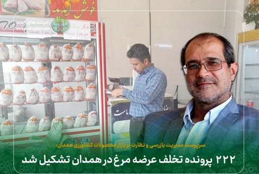 ۲۲۲ پرونده تخلف عرضه مرغ در همدان تشکیل شد