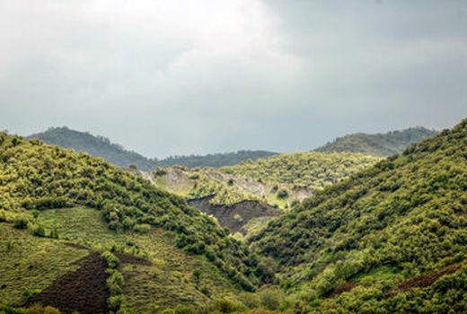 خراسان شمالی جزو ۱۰ استان دارای صندوق حمایت از توسعه منابع طبیعی است