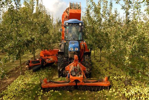 اجرای هم‌زمان برنامه‌های بهینه‌سازی الگوی کشت باغات با مدیریت منابع آبی