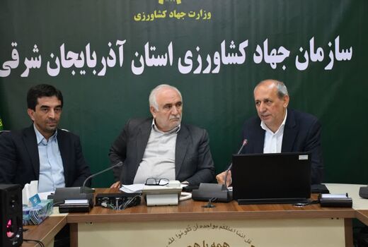 تولید سالانه بیش از ۱۲۰ هزار تن گوشت مرغ در آذربایجان شرقی