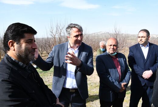 بازدید از باغ سیب پایه مالینگ و یک واحد گاوداری در شهرستان بستان آباد برای فعالیت شرکتهای دانش بنیان