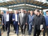 بازدید وزیر جهاد کشاورزی از مجتمع پرورش و اصلاح نژاد گوسفند 7هزار رأسی 