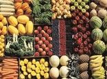 صادرات بیش از ۵۰۰ تن انواع محصول کشاورزی