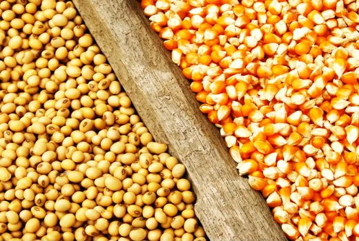 دستگاههای متولی تامین معاش، مجریان پدافند غیر عامل کشور