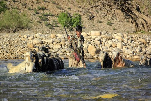 اختصاص ۱۴۰۰ میلیارد ریال اعتباردر حوزه عشایری چهارمحال و بختیاری