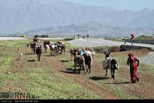 ۴۰۰ میلیارد ریال اعتبار سفرهای استانی دولت برای عشایر خراسان شمالی