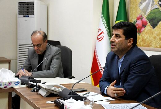 شرکت پشتیبانی امور دام  مرغ نژاد آرین را ۱۲ درصد  بالاتر از قیمت مصوب می‌خرد