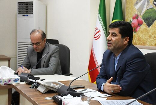 شرکت پشتیبانی امور دام  مرغ نژاد آرین را ۱۲ درصد  بالاتر از قیمت مصوب می‌خرد