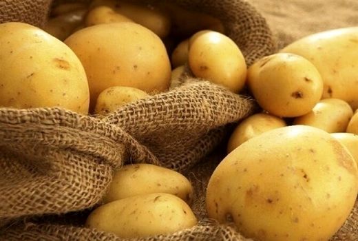 برداشت بیش از ۲ هزار تُن سیب زمینی در خراسان جنوبی
