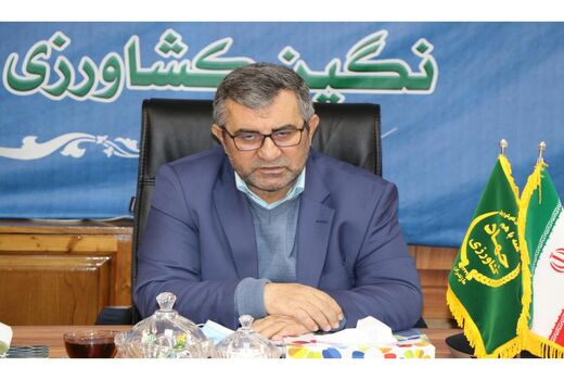 اجرای 6 هزار هکتار کشت قراردادی توسط تعاون روستایی مازندران
