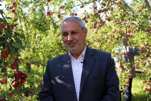 احیاء سیب زنوز مرند نیاز به عزم جدی مسئولین مرکز تحقیقات کشاورزی دارد