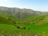 تمام مراتع کشور باید طرح مرتعداری داشته باشند