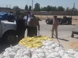 برخورد با دلالان گندم در شهرستان ورامین