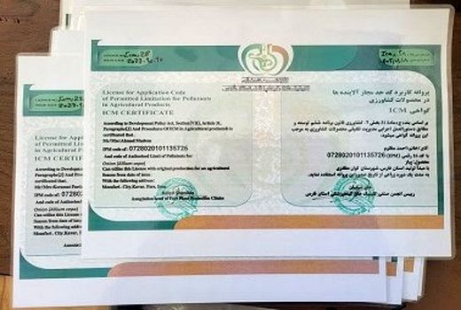 سهم 5 درصدی پیاز گواهی شده از تولید پیاز کوار