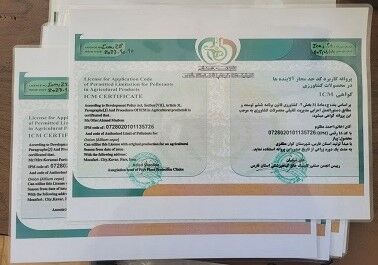 سهم 5 درصدی پیاز گواهی شده از تولید پیاز کوار