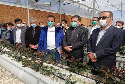 توسعه گلخانه‌ها گامی اثرگذار در راستای جهش تولید