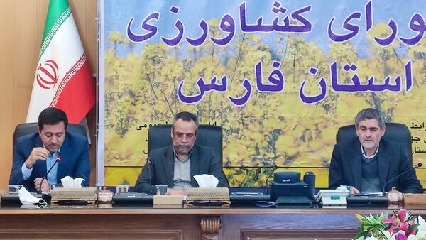 افزایش 5 برابری کشت قراردادی گندم در فارس