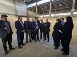 ذخایر نهاده دامی کهگیلویه و بویراحمد در وضعیت مطلوب