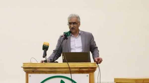 خسارت علف‌های هرز در برخی مزارع غلات به بیش از ۵۰ درصد رسید