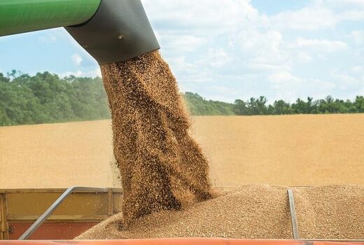 خرید گندم از کشاورزان؛ یک قدم تا ۱۰ میلیون تُن
