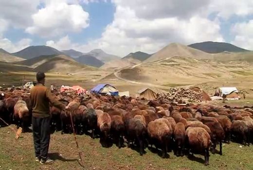 دریافت کارت تردد و شناسایی هویت بیش از ۵۰ درصد خانوارهای عشایری آذربایجان‌غربی