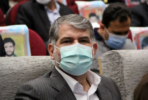 برای اولین بار در کشور، طرح اصلاح نخیلات در دشتستان اجرا می شود
