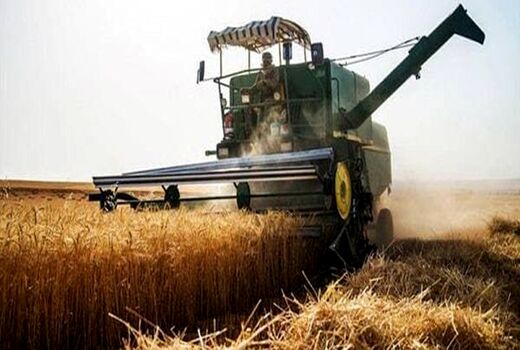 بیش از 36 هزار تن گندم در کردستان خرید تضمینی شد
