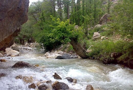 سند رودخانه‌ها به سازمان منابع‌طبیعی باز می‌گردد