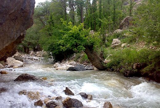 سند رودخانه‌ها به سازمان منابع‌طبیعی باز می‌گردد