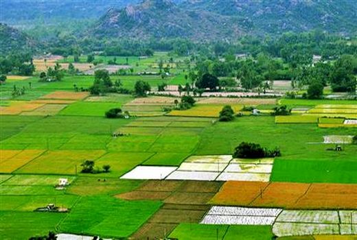 رفع تداخل بیش از ۶۰۰ هزار هکتار از اراضی کشور