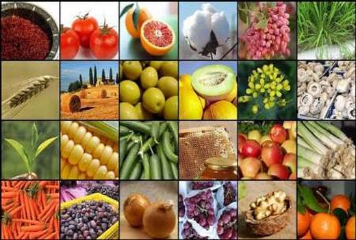 افزایش 11 درصدی صادرات کشاورزی آذربایجان شرقی 