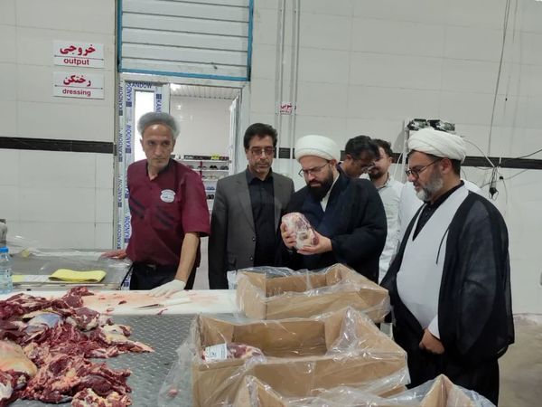 بازدید میدانی مسئول حوزه نمایندگی ولیفقیه از زنجیره تولید گوشت در شهرستان ملکان