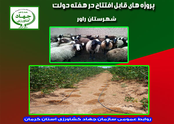 بهره‌برداری از چهار طرح دامپروری و آب و خاک شهرستان راور در هفته دولت
