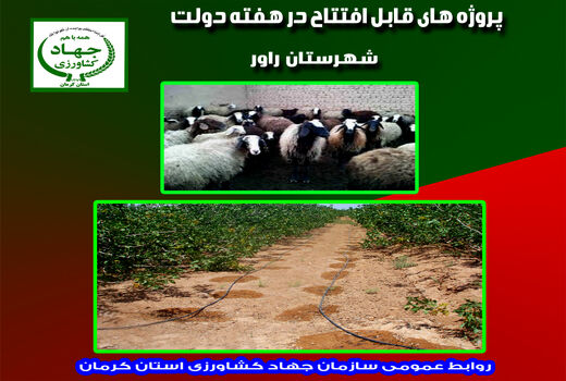 بهره‌برداری از چهار طرح دامپروری و آب و خاک شهرستان راور در هفته دولت