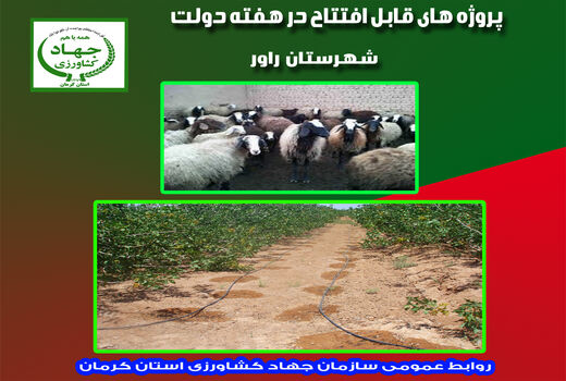 بهره‌برداری از چهار طرح دامپروری و آب و خاک شهرستان راور در هفته دولت