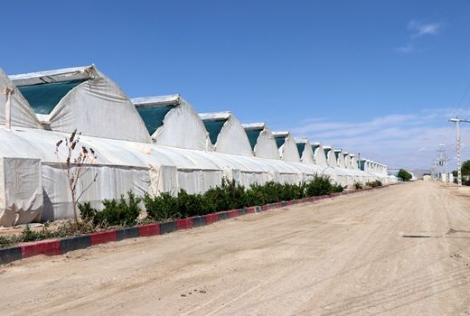 ۸۰ درصد از سازه‌های گلخانه‌های کشور در شهر گلشن تولید می‌شود