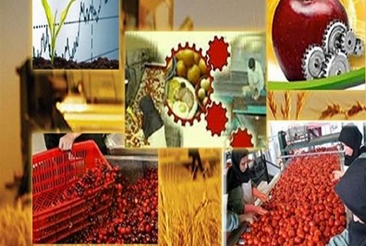 زنجان، استان برتر در فرآوری محصولات کشاورزی
