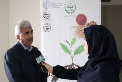 برنامه ریزی برای اجرای ۳۰۰ هزار هکتار کشاورزی حفاظتی  در استان آذربایجان شرقی 