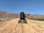 ۸ هزارو ۵۰۰ هکتار از اراضی کشاورزی اصفهان زیر کشت گندم آبی و دیم