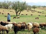 نیازمند نماد تجاری خاص برای پرورش دام سبک هستند