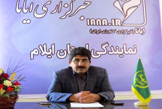 توزیع 24 هزار تن انواع بذور اصلاح شده گندم و جو در ایلام