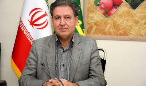 محدودیت ۵۰ نیروی کار در تسهیلات حفظ اشتغال حذف شد/ امکان حمایت از همه کارکنان بیمه‌شده