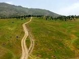 عملیات احیای اکوسیستم های مرتعی استان تهران در سطح 600 هکتار اجرا می شود