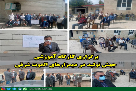 کارگاه‌ آموزشی جهش تولید در دیمزارهای الموت شرقی برگزار شد