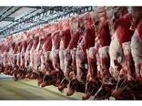 258 تن گوشت قرمز در بابل تولید شد/ ارزش اقتصادی 619 میلیاردی